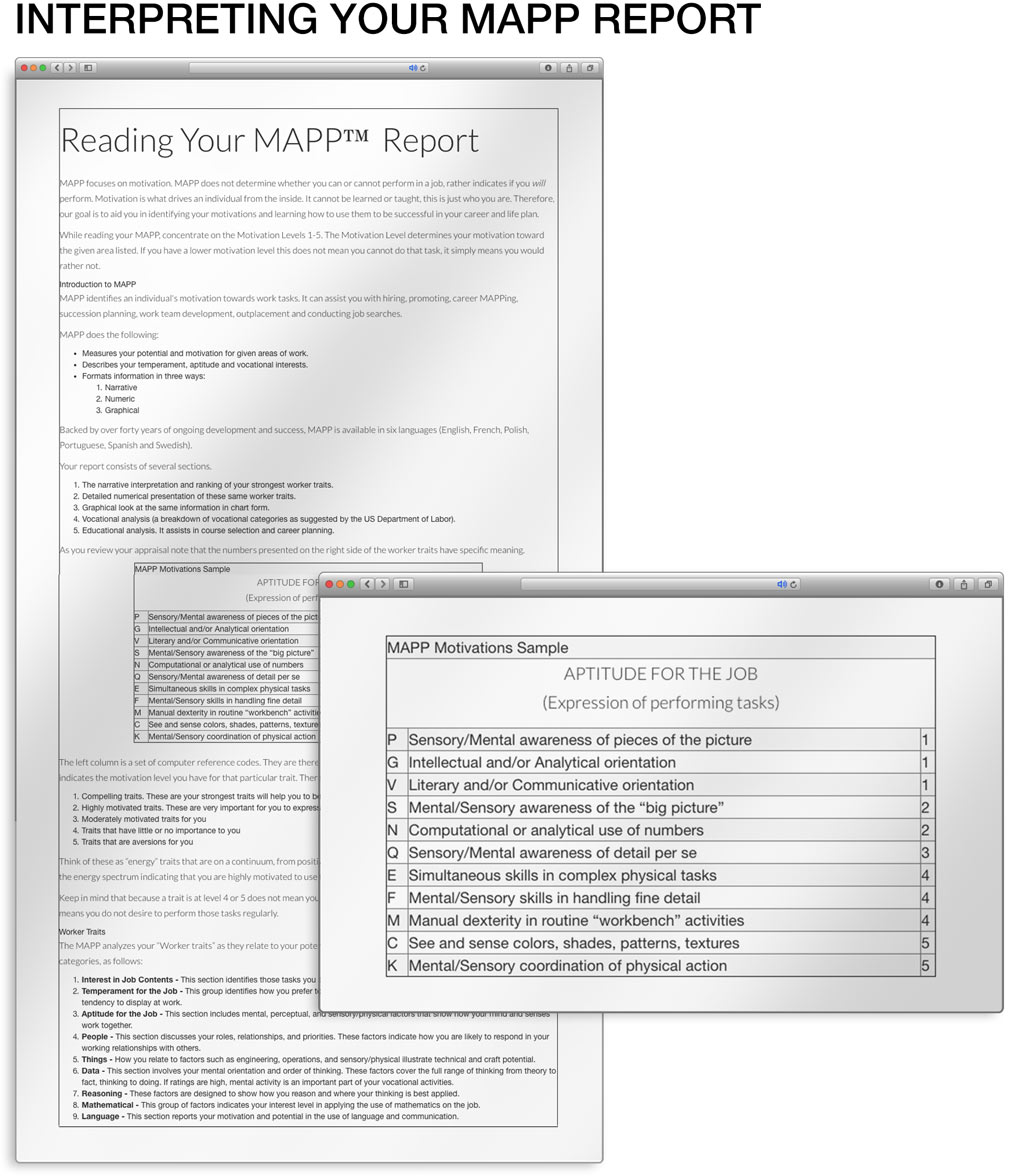 Career Test Aptitude Mapp